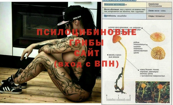 ешки Арсеньев